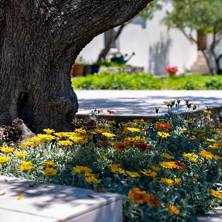 Garden Rab Rab Town