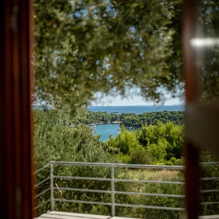 Apartment Spacious Modern One Bedroom With Garden & Seaview Rab Town